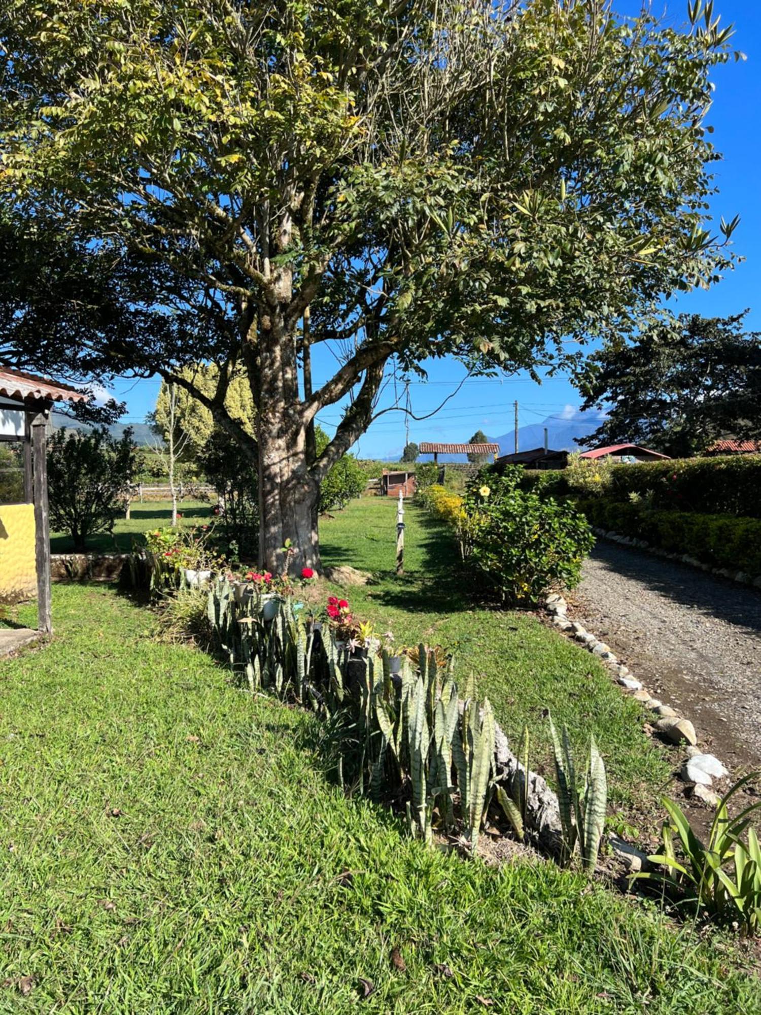 Finca Hotel Paraiso Urrao Exterior foto
